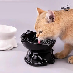Elevated anti tilt cat bowl neck protection dual-use pet food and water dispenser