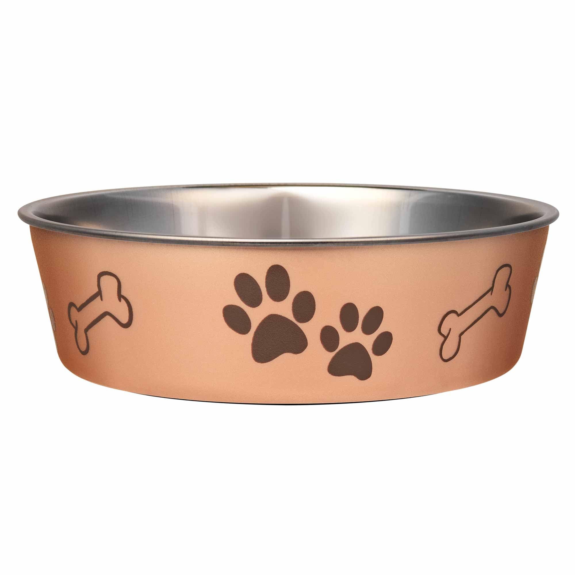 Stainless steel cat bowl - spill proof cat bowl, essential items for cats and pets