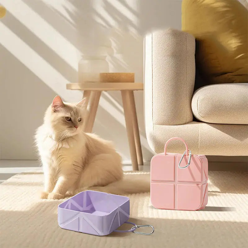 Travel pet accessories, lightweight, anti slip, foldable pet bowl, hiking buckle