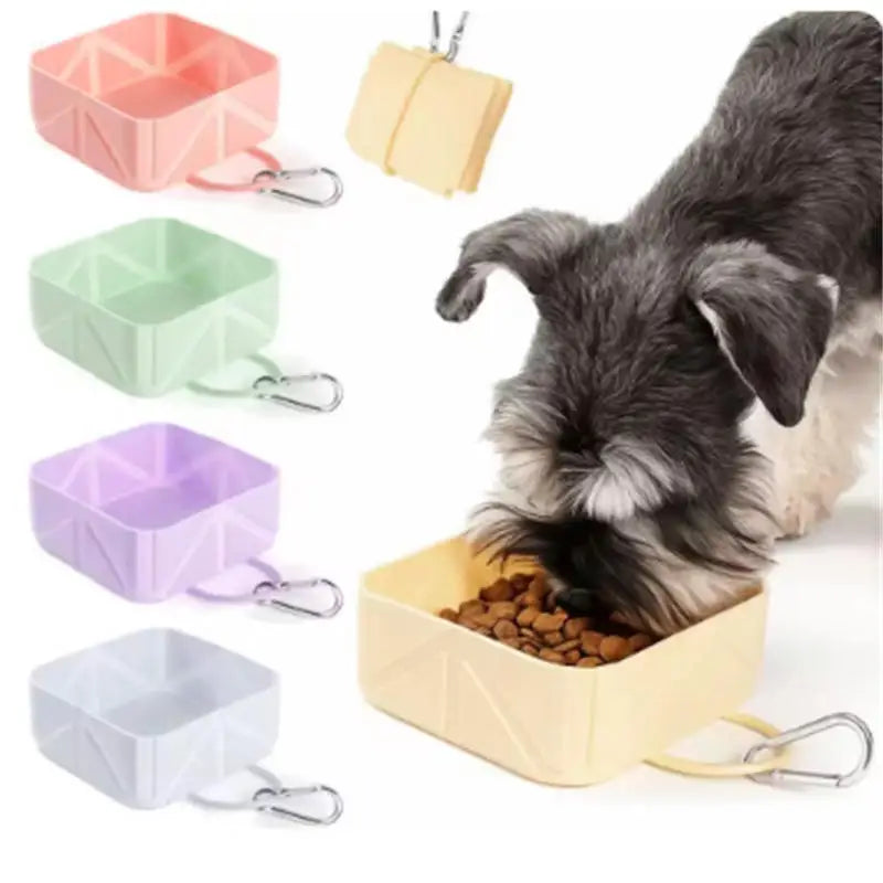 Travel pet accessories, lightweight, anti slip, foldable pet bowl, hiking buckle