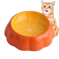 Fruit patterned pet feeding bowl